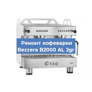 Декальцинация кофемашины Bezzera B2000 AL 2gr в Белгороде
